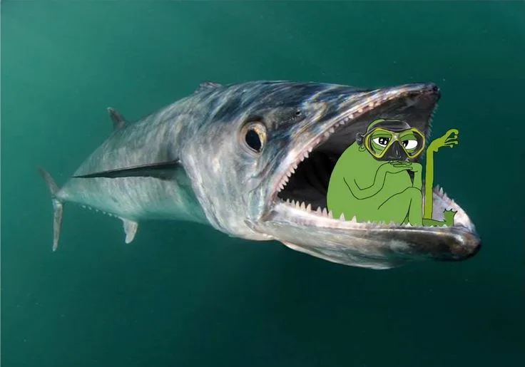 Cozy groyp — Apu meme
