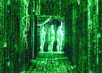 Seeing the Matrix Code — Reaction meme