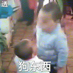 狗东西 — Reaction meme
