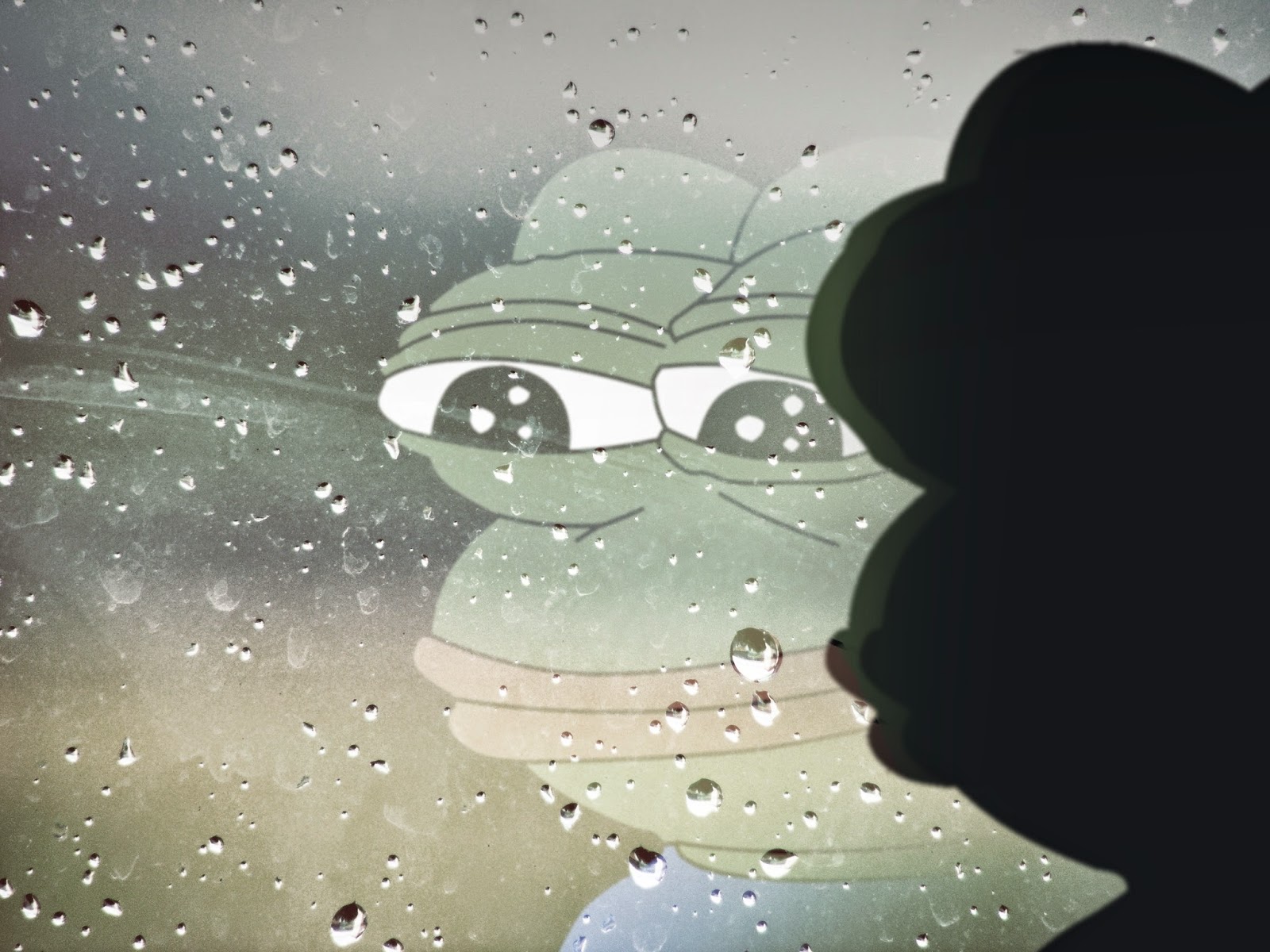 Pepe rainy day reflection — Pepe meme