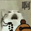 Cat Want to Be Zen — Reaction meme
