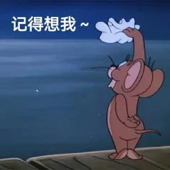 记得想我 — Reaction meme