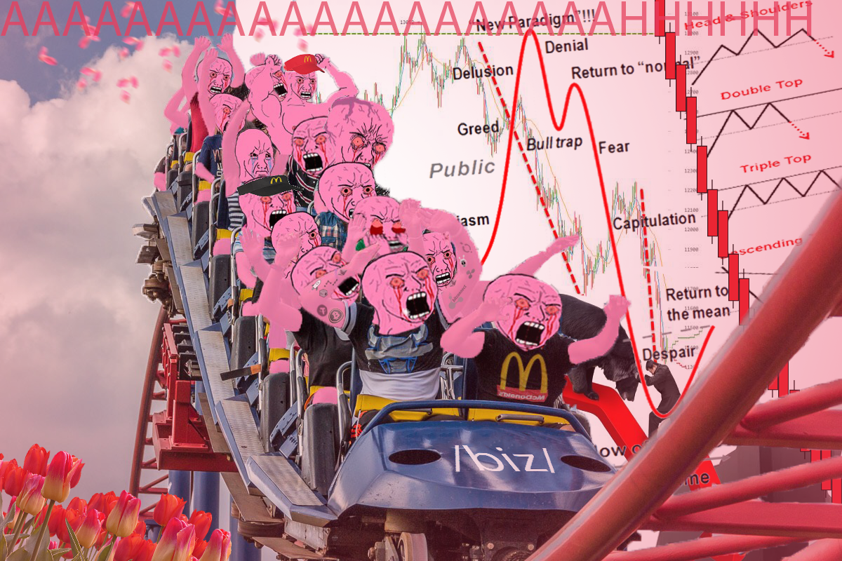 Pink wojak roller coaster 2 — Wojak meme