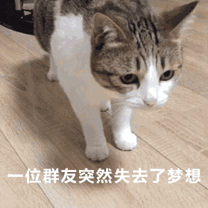 一位群友突然失去了梦想 — Reaction meme