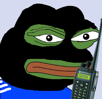 Pepe freedom fighter — Pepe meme