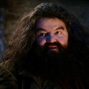 You're a wizard harry meme template — Templates meme