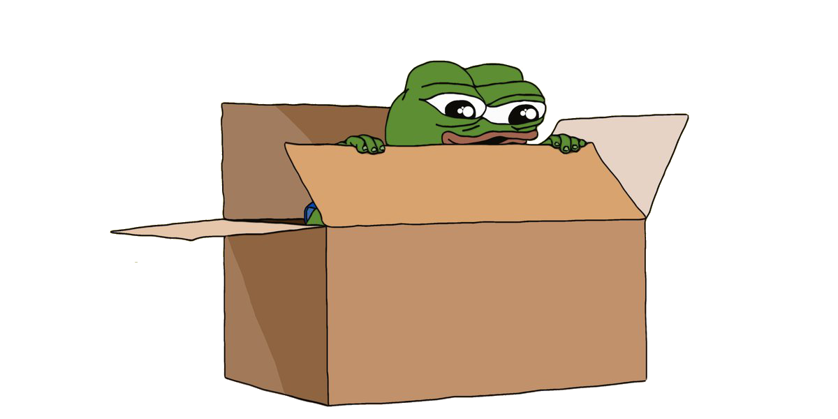 Pepe happy in cardboard box — Pepe meme