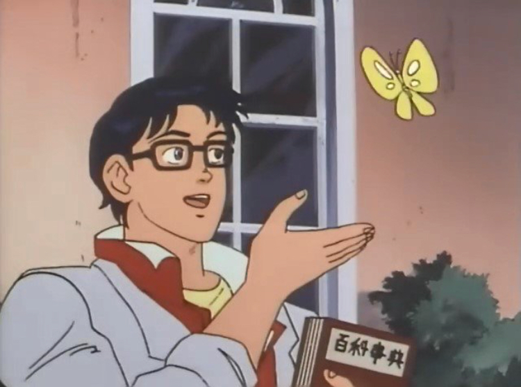 Is this a bird? meme template — Templates meme