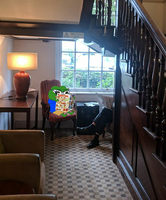 Pepe reading sunday comics in foyer — Pepe meme