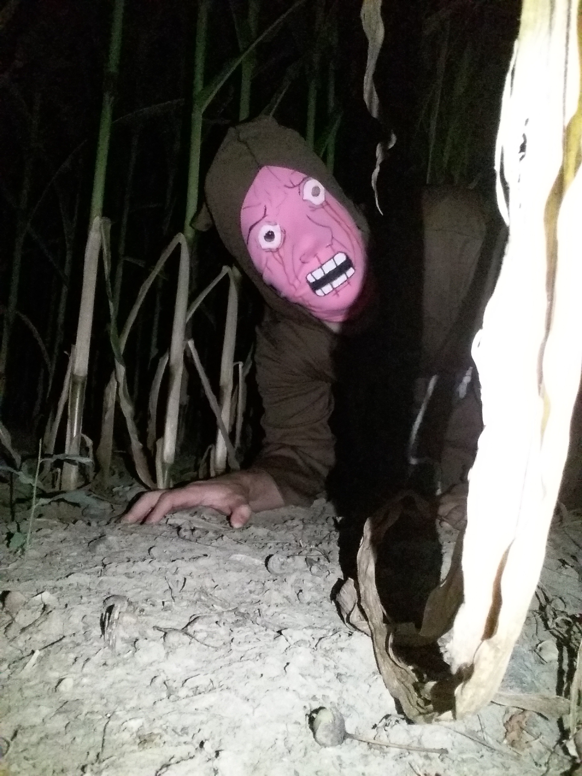 Pink wojak field — Wojak meme