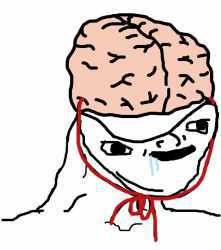 Brainlet brain hat — Brainlet meme