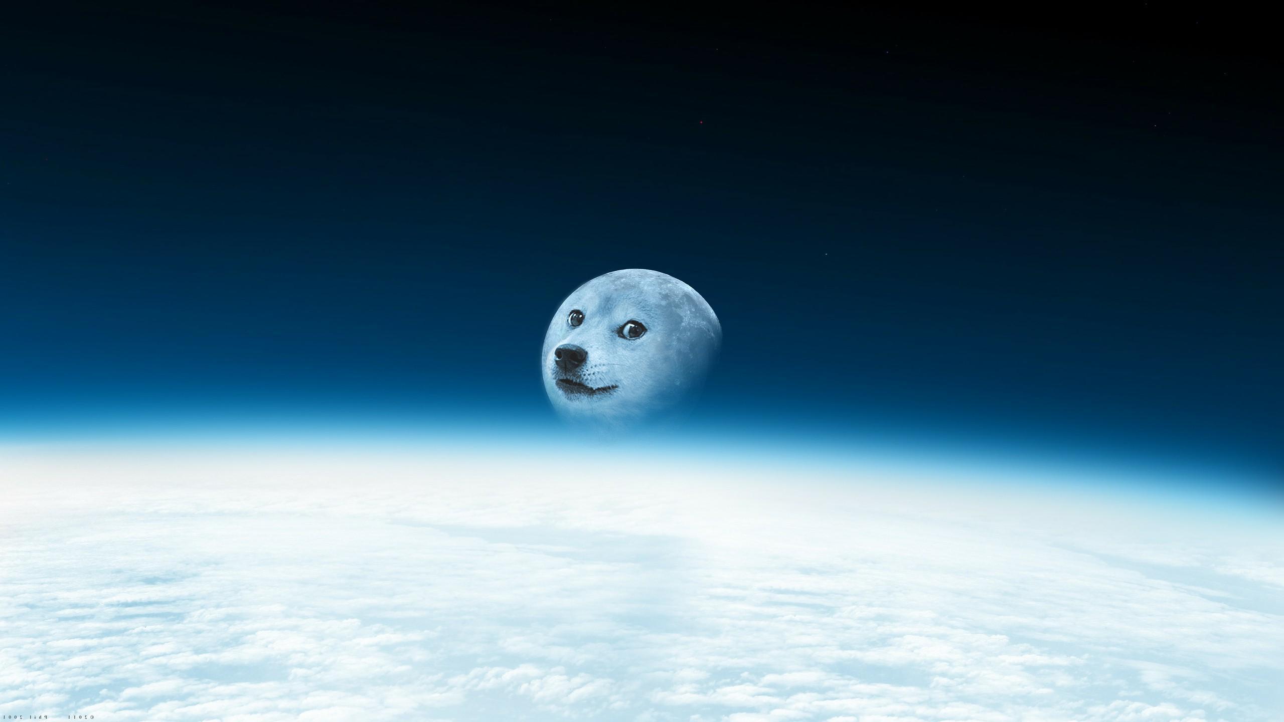 Doge moon — Reaction meme