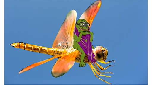 Dragonfly rider Groyper sticker — Sticker Packs meme
