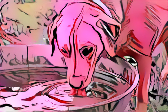 Pink schlop dog — Reaction meme