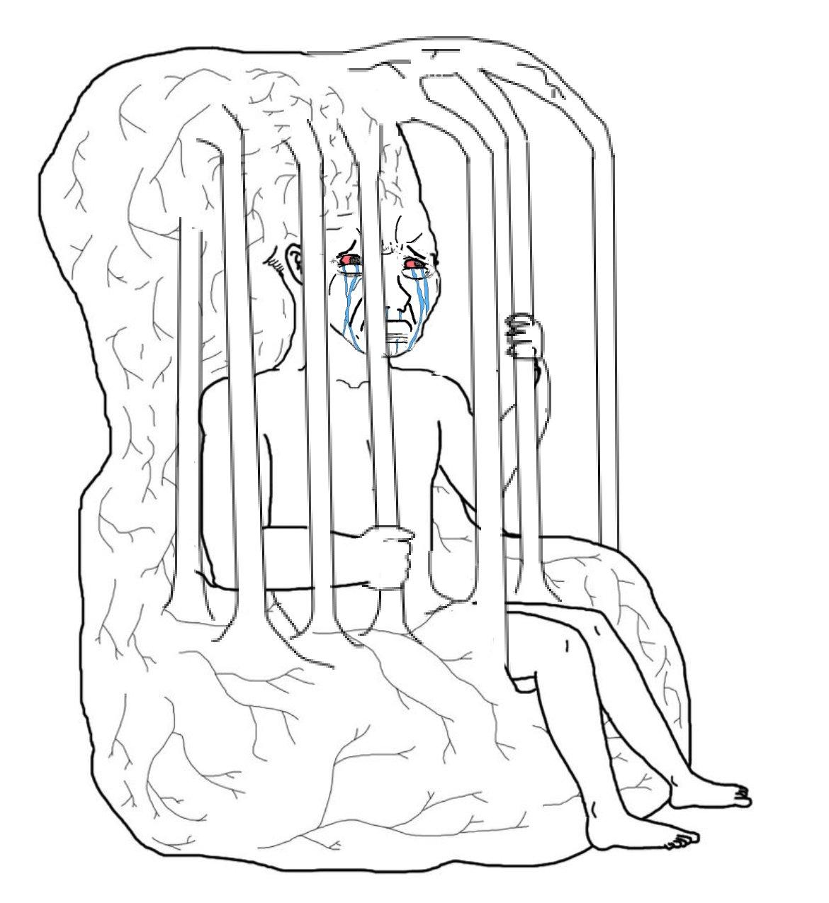 Wojak sad angry big brain jail — Wojak meme