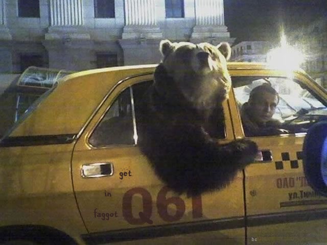 Bear in taxi — Reaction meme