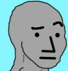 Wojak npc eyebrow raised — Wojak meme