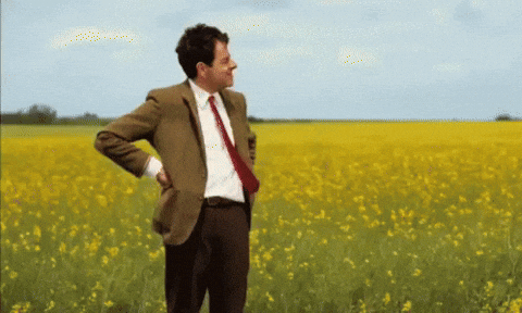 Still Waiting Mr. Bean — Reaction meme