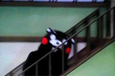 Kuma Bear Stair Slide — Reaction meme