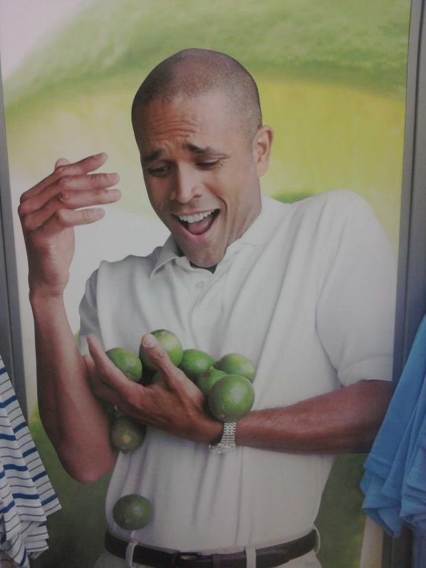 Why Can't I Hold All These Limes meme template — Templates meme