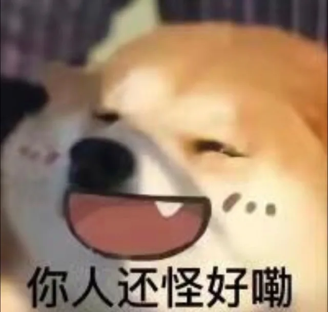 你人还怪好嘞 — Reaction meme
