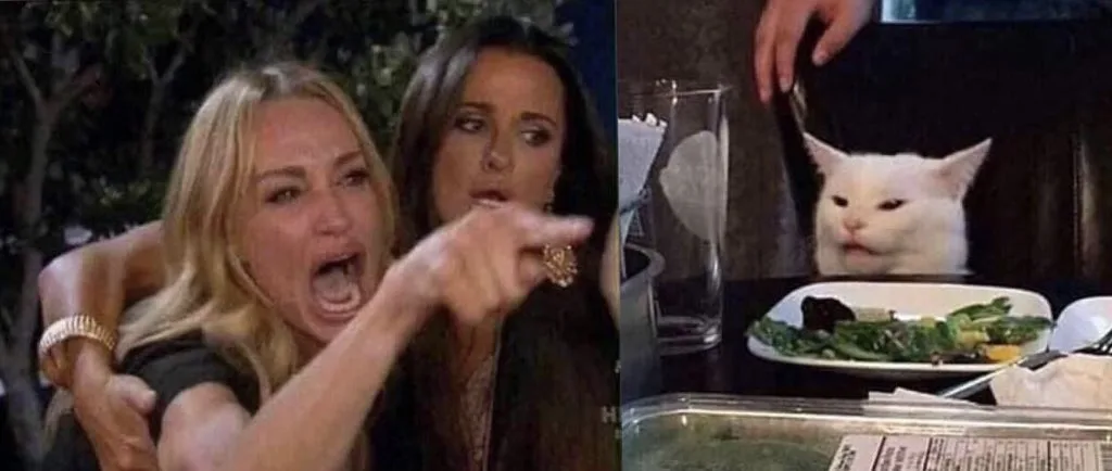 1. Woman Yelling at a Cat (Smudge the Cat) side by side — Templates meme