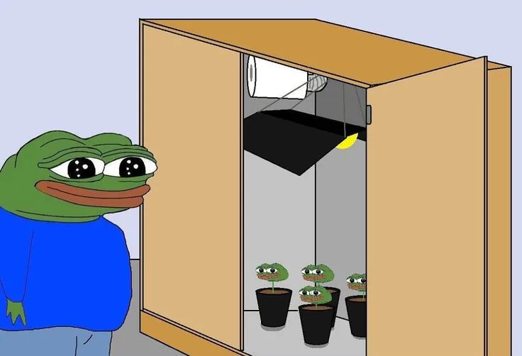 Grower — Apu meme