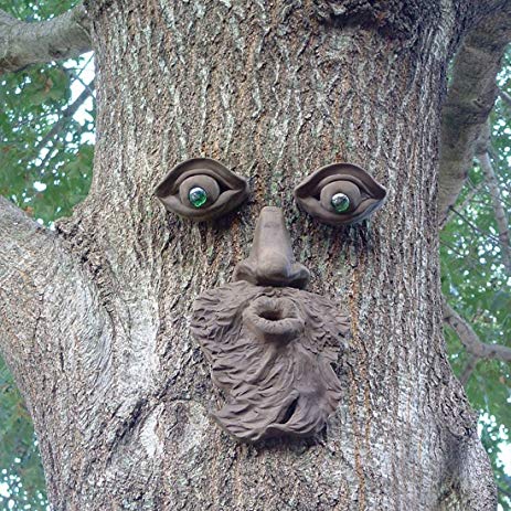 Excited tree face — Reaction meme