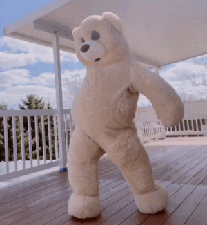 Bear Doing the Dance — Reaction meme