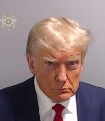 Donald Trump Mugshot meme template — Templates meme