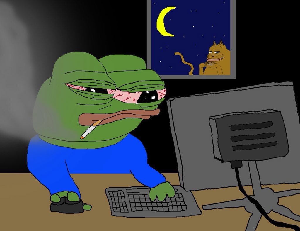 Pepe late night cat — Pepe meme