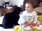 Cat Wipe Baby Mouth — Memes meme