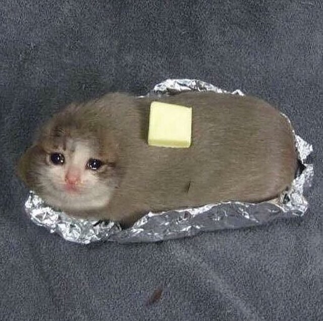 Baked cat potato sad — Reaction meme
