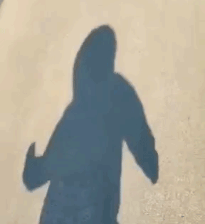 Dancing Shadow — Reaction meme