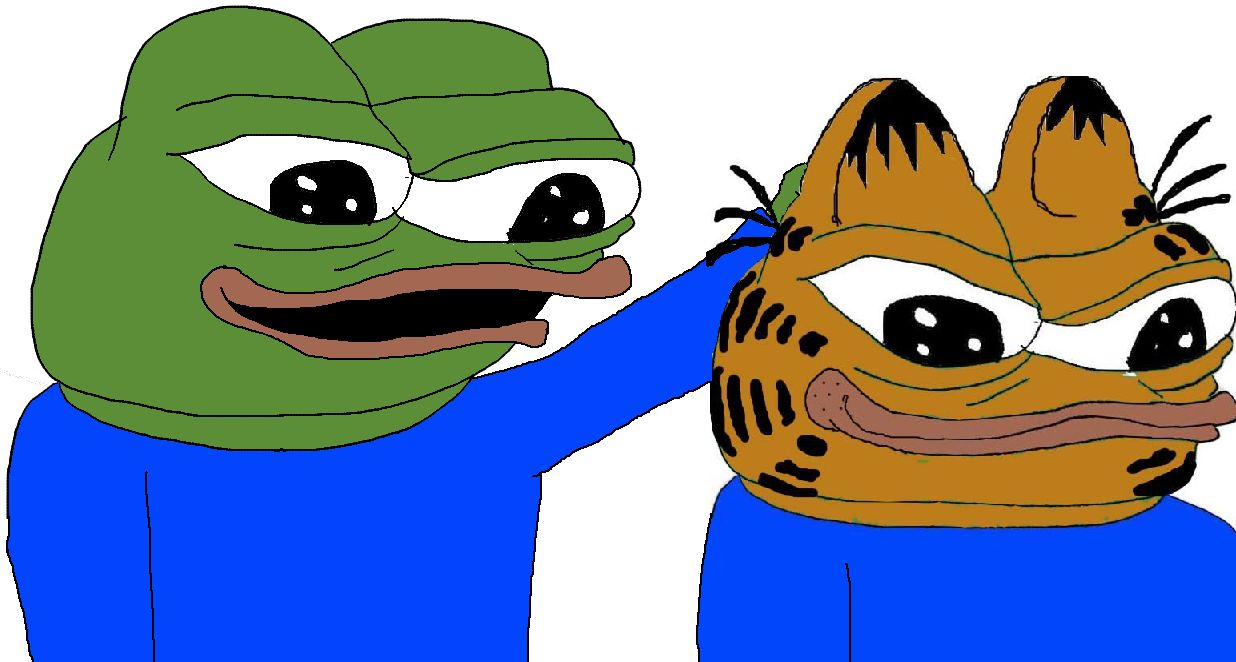 Pepe pets pepe cat — Pepe meme