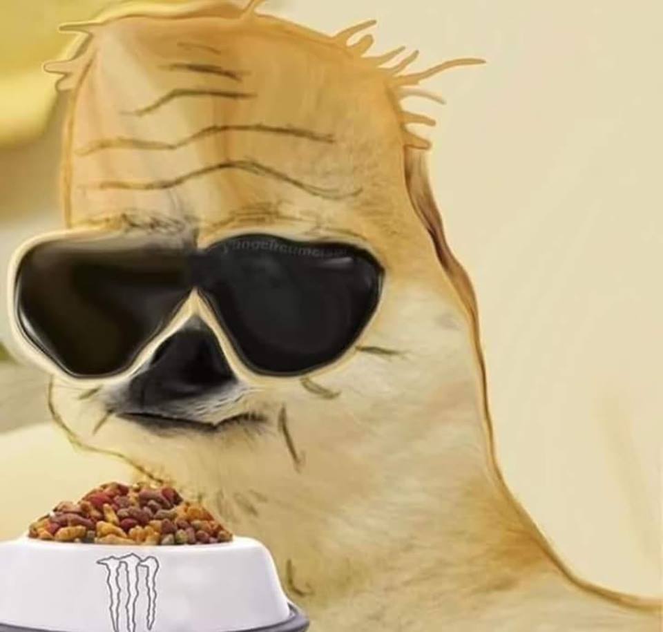 Boomer doge monster bowl — Boomer meme