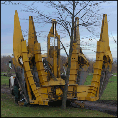 Fast Tree Clearing — Memes meme
