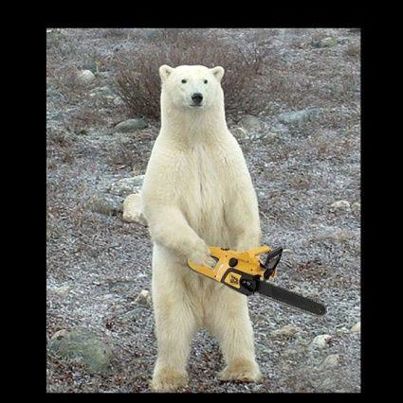 Chainsaw Bear meme template — Templates meme