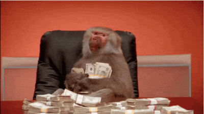 Rich Baboon / Monkey Counting Money — Reaction meme