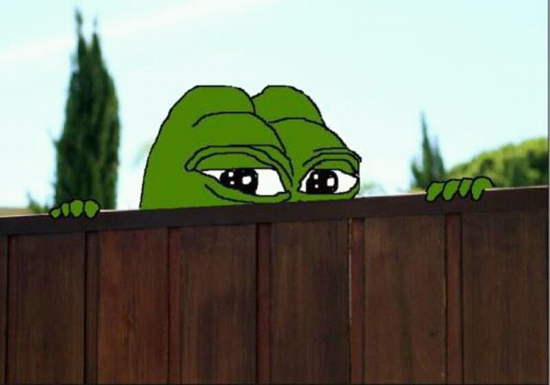 Pepe peeking up behind fence — Pepe meme