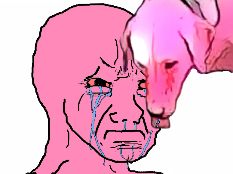 Pink wojak schlop dog — Wojak meme