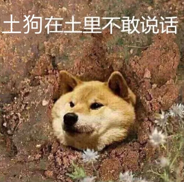 土狗在土里不敢说话 — Reaction meme