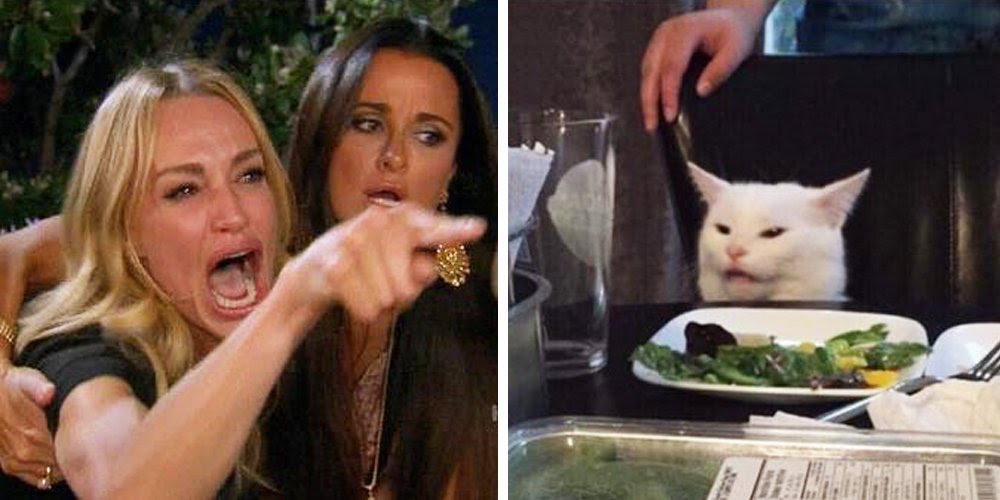 Smudge the cat meme template — Templates meme