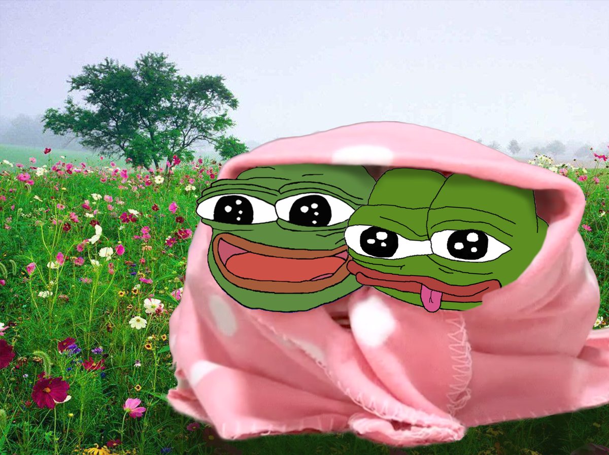 Pepe under blanket in field — Pepe meme