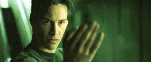 Dojo "Come On" Gesture — Reaction meme