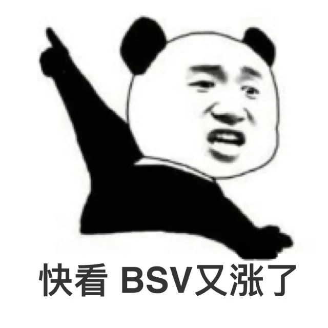 快看 BSV又涨了 — Reaction meme