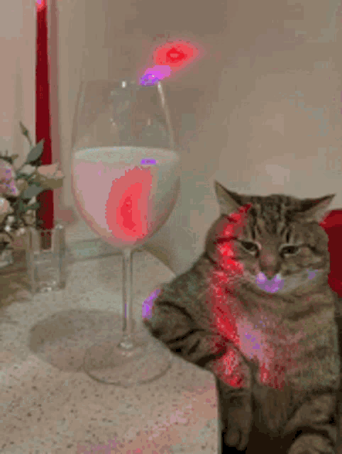 Cat party — Reaction meme