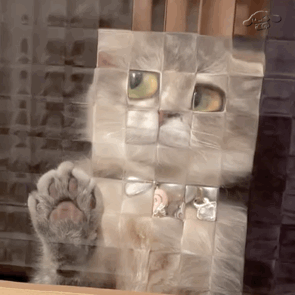Mosaic Cat — Reaction meme