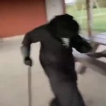 Plague Doctor Gangsta's Paradise meme template — Templates meme