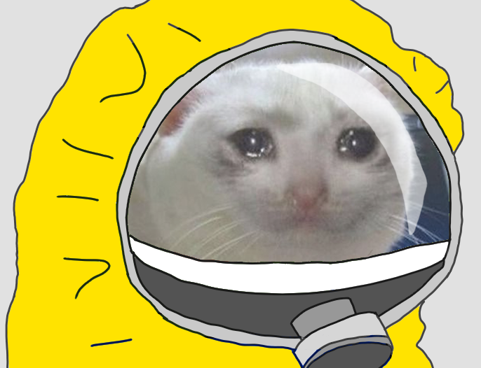 Crying cat hazmat suit — Reaction meme